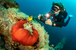 large Micro 3.0 Sealife balidiveshop 6